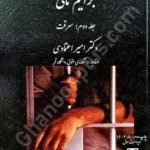 جرایم مالی (جلد دوم: سرقت)