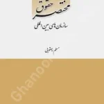 مختصر حقوق سازمان‌های بین المللی