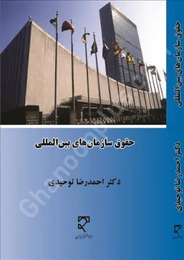 حقوق سازمان‌های بین‌المللی