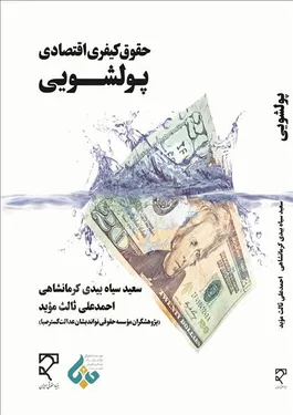 حقوق کیفری اقتصادی پولشویی