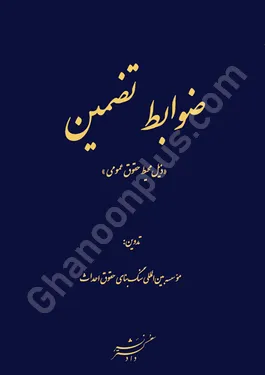 ضوابط تضمین (( ذیل محیط حقوق عمومی))