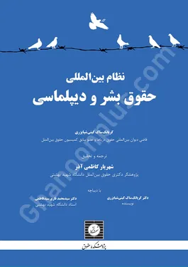 نظام بین المللی حقوق بشر و دیپلماسی