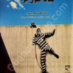 کلیات حقوق جزا