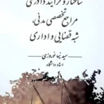 ساختار و فرایند دادرسی مراجع تخصصی مدنی شبه قضایی و اداری